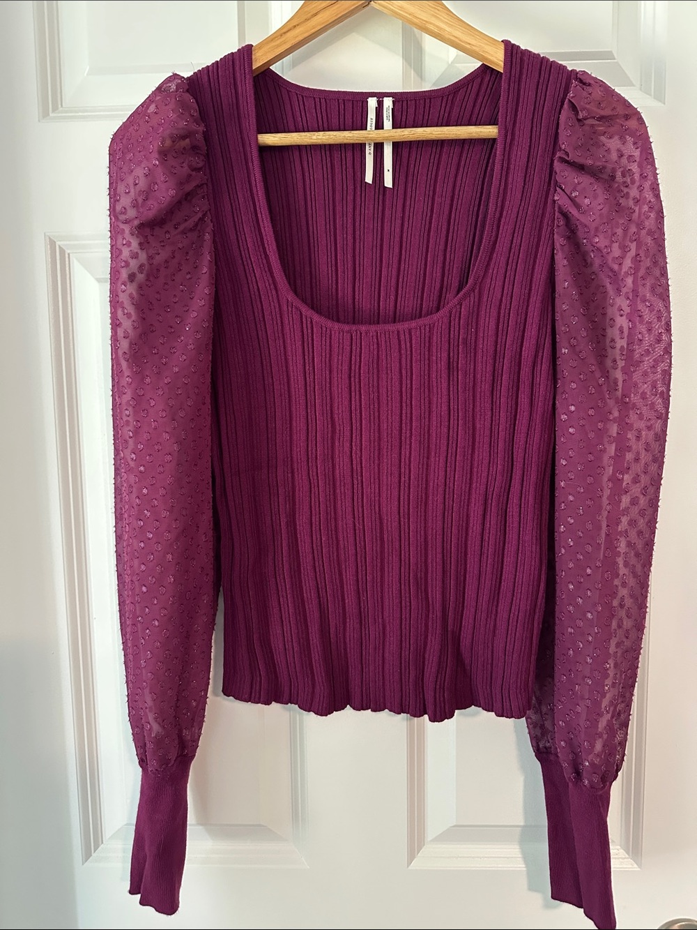 Anthropologie Plum Ribbed Scoop-Neck Top with Sheer Dotted Puff Sleeves